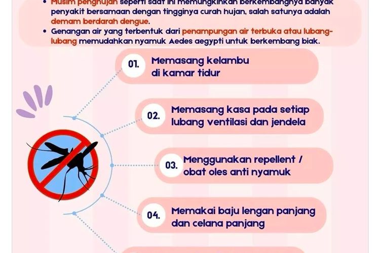 Langkah-Langkah Pencegahan DBD Ketika Musim Hujan