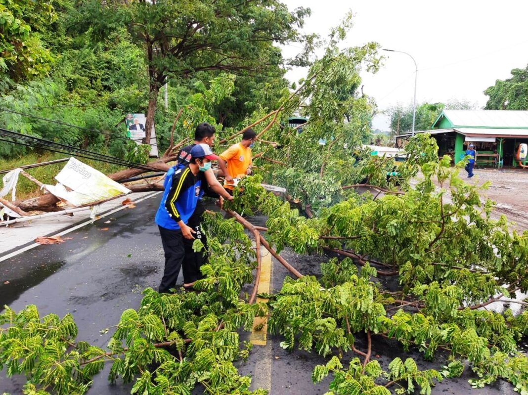 Tembok Roboh Tertimpa Pohon