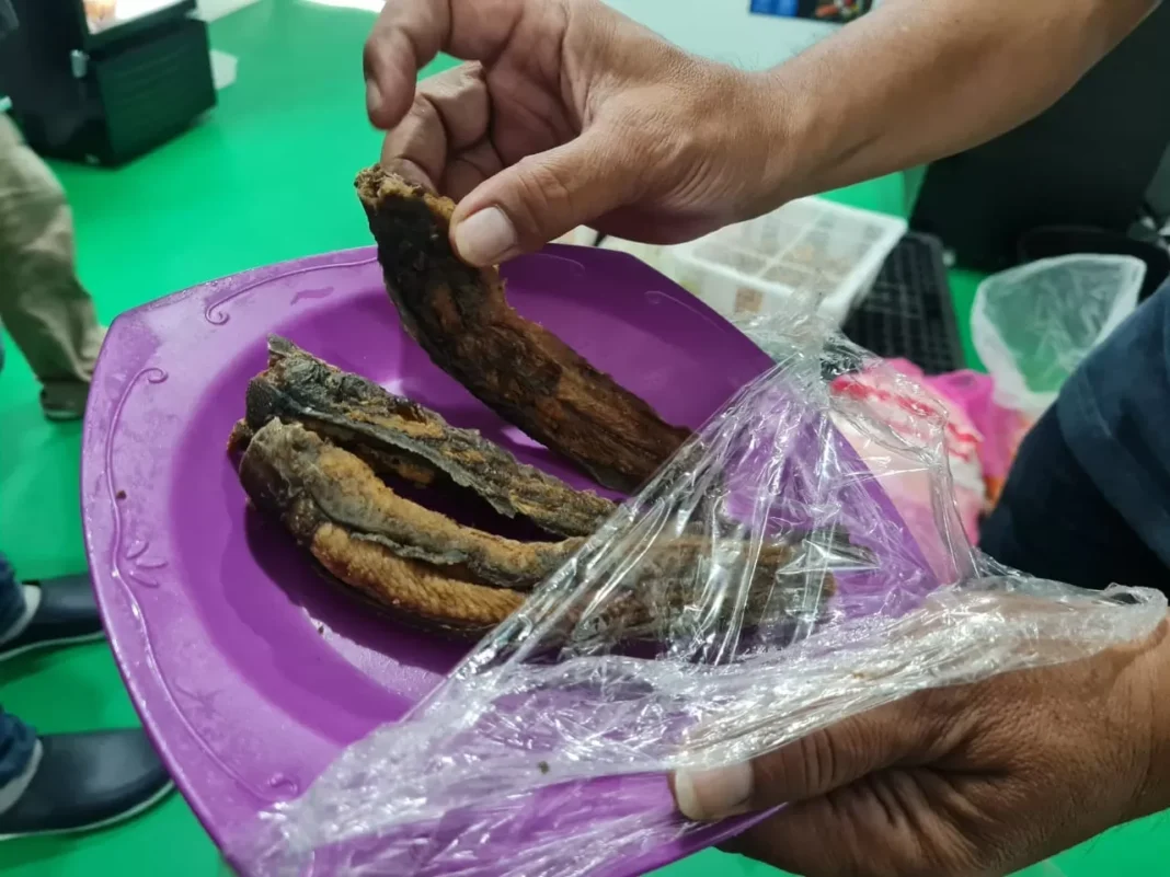 Viral MBG di SMK Muntilan Berbelatung, Kepsek Bilang Perlu Penilaian