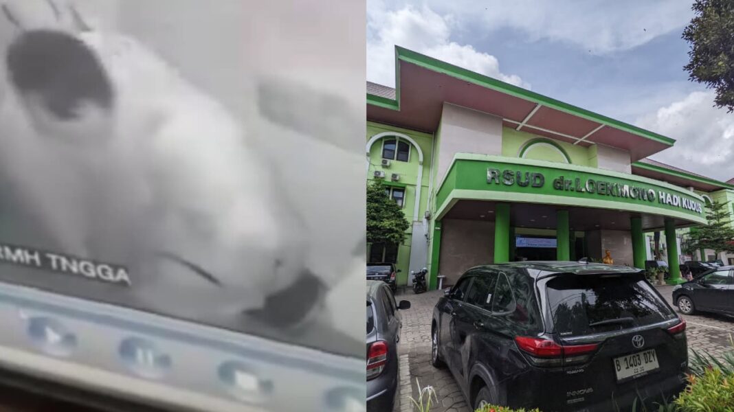 Link Video Botol Golda Viral, Apa Isi Sebenarnya