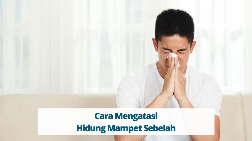 Tips Mengatasi Hidung Mampet Sebelah