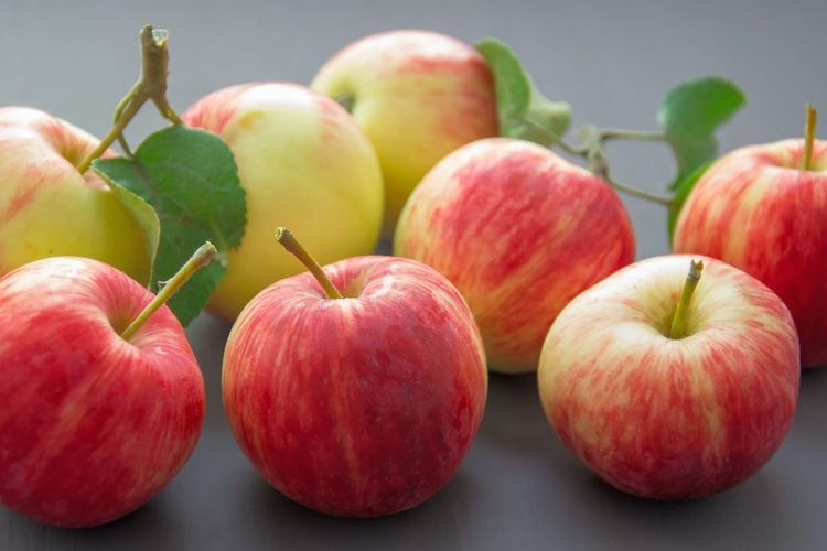 Awas Virus Nipah, Jangan Sembarang Makan Buah!