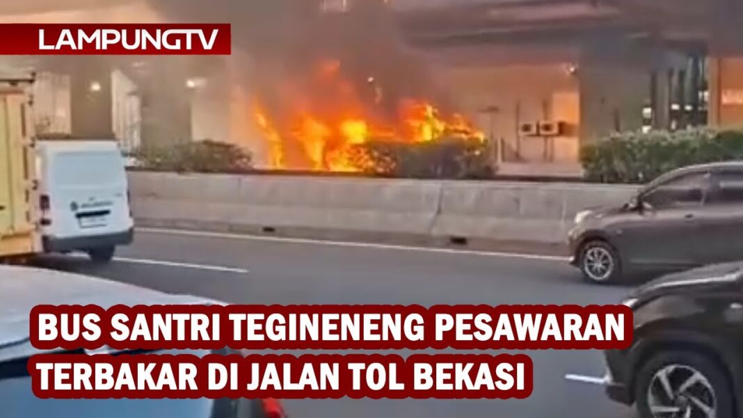 Porak-poranda Hutan Bambu Kota Bekasi